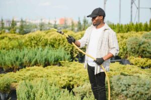 Estamos buscando vigilante para cuidar un vivero de plantas